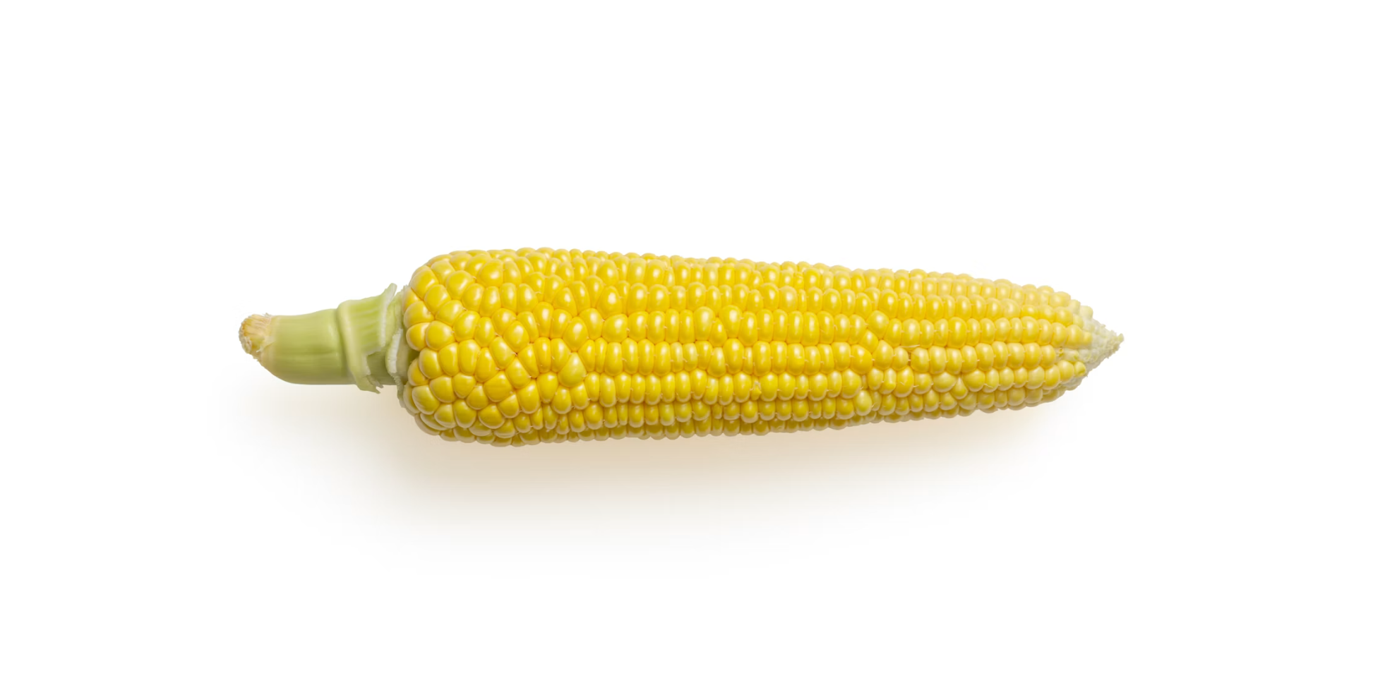 Original photo with a white background