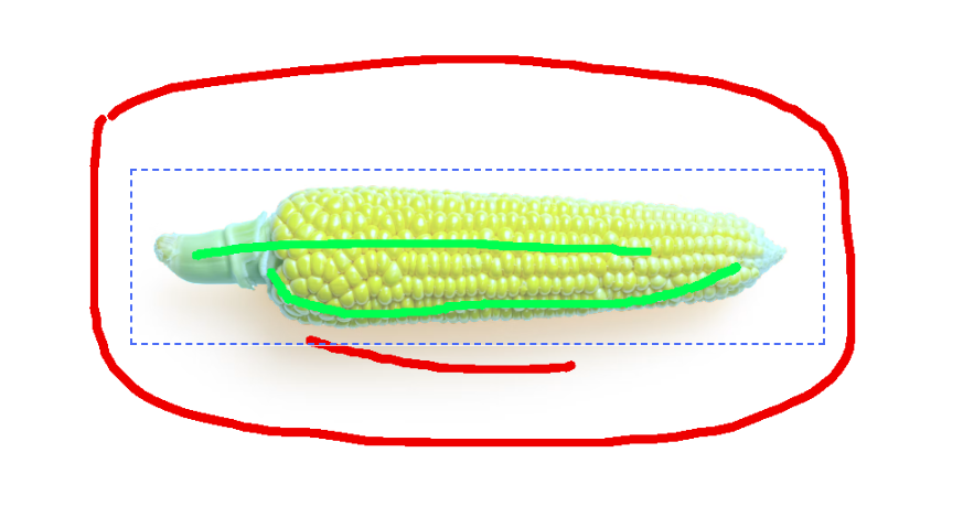 Refined selection with a crop box drawn over it